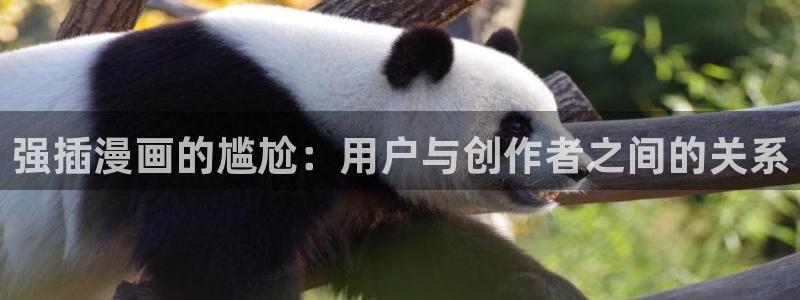 肉包子漫画：强插漫画的尴尬：用户与创作者之间的关系