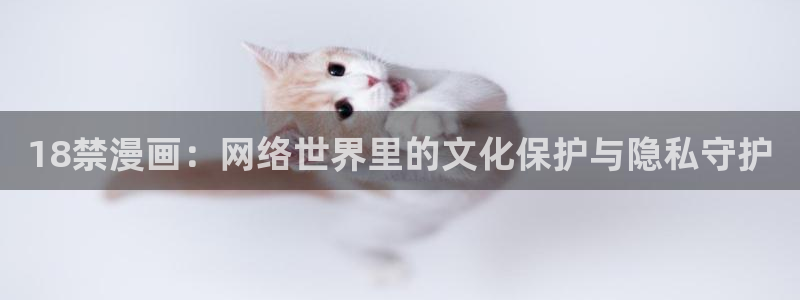 小蘑菇包子漫画：18禁漫画：网络世界里的文化保护与隐私守护