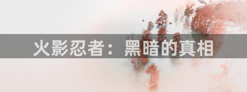 包子漫画app正版：火影忍者：黑暗的真相